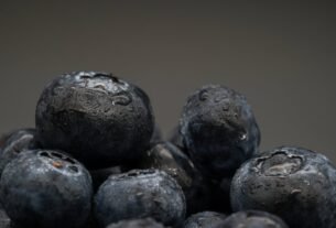 dr gundry s blueberry warnings