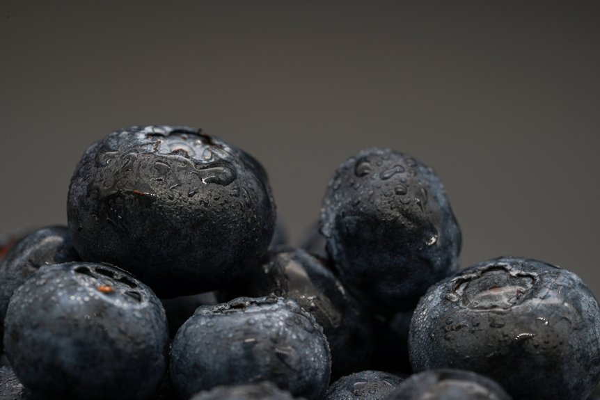 dr gundry s blueberry warnings