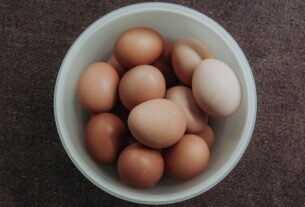 dr gundry s egg recommendations
