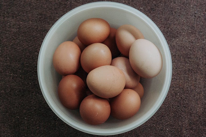 dr gundry s egg recommendations